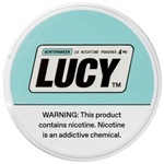 Lucy Pouch Wintergreen 4mg 